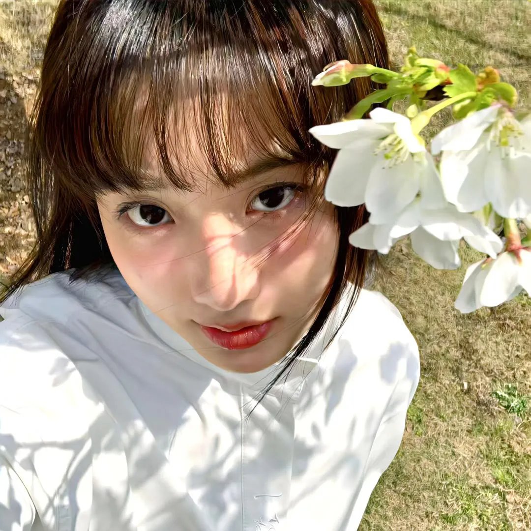 我的中国芯